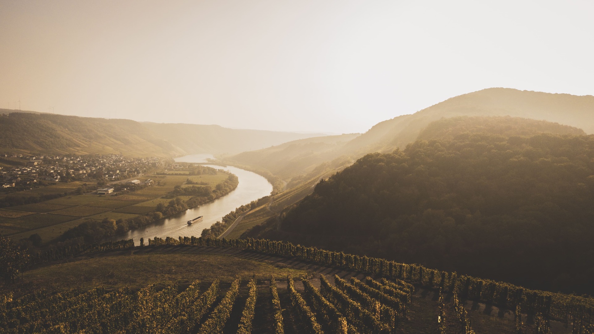 Kestener Weinberge mit Blick auf Wintrich und Mosel