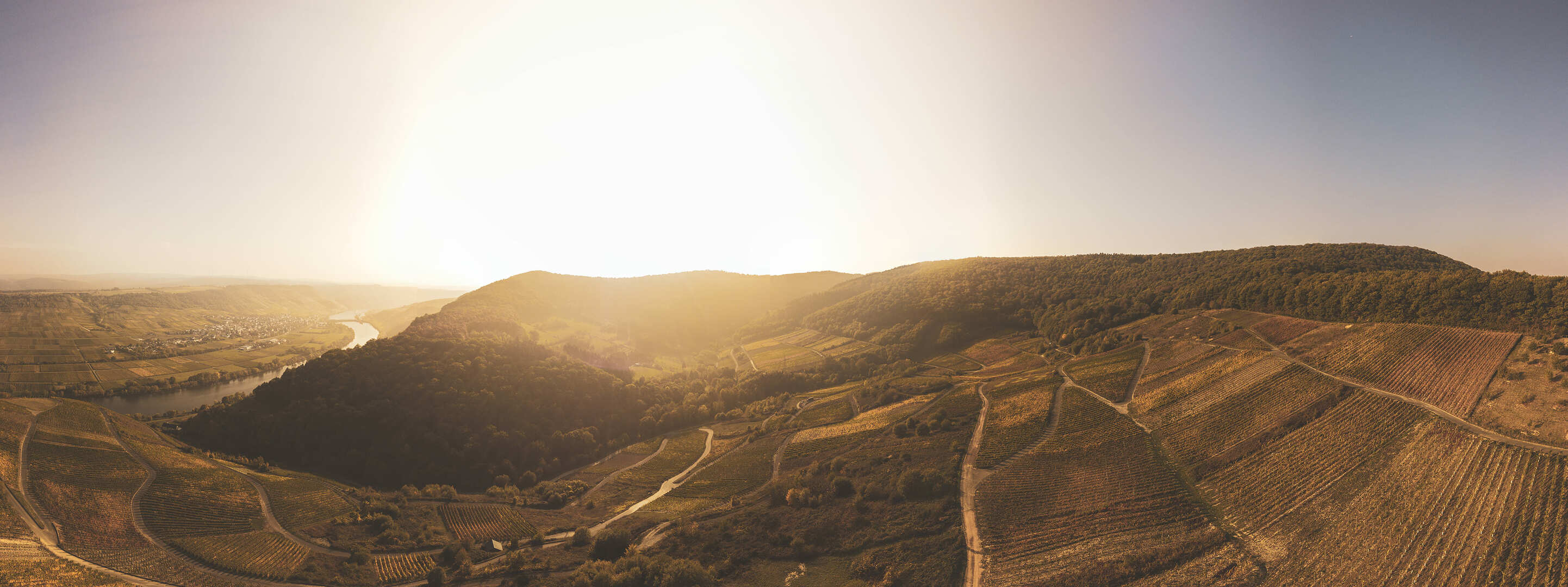 Kestener Weinberge mit Blick auf Wintrich und Mosel